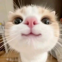 t/g bị xàm
