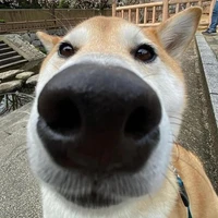 Tg bị lười ^^