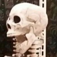 hệ thống điên nhất thế giới ✨