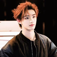 Đinh Trình Hâm