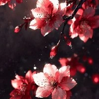 nhân vật phụ