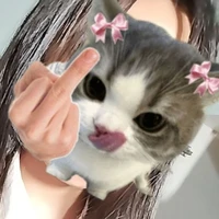 t/g nè
