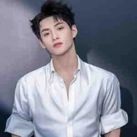 Huỳnh Hoàng Hùng-Gemini