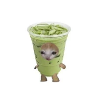 Mắn Tôm siu thúi ình