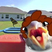 shedletsky