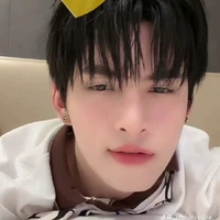 hunghuynh-gemini