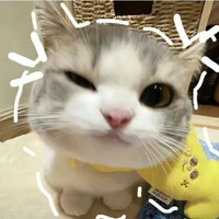 T/g