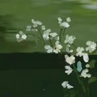 Nhân vật tổng hợp