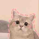 cả bốn người-yoi