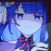 Raiden Shougun