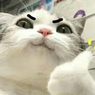 All