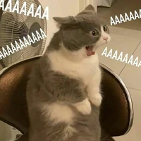 t/g mê kira