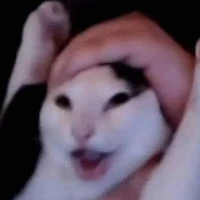 eggo the egg