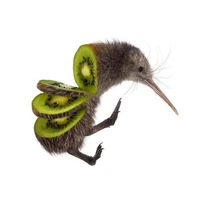 T/g