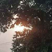 T/g Cute nhưng hay phá