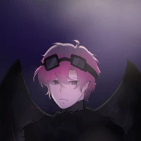 hiha crow - top