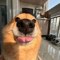 Yêu các độc giả👉🏻👈🏻🤡