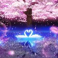 Nhóm Sakura