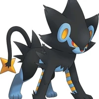 luxray_Gym
