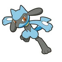 Riolu_satoru