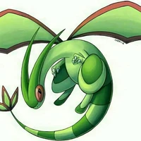 Flygon_Yoko