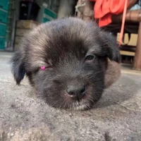 t/g kiên luôn hệ thống