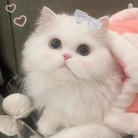 Hệ thống 001(kisuga(