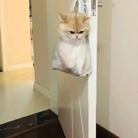 con quẻ le miêu ( t/g) 