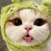 Me Mèo lười