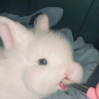 Berry