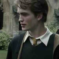 Cedric Diggory 