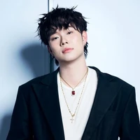 dương domic
