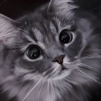 Tèo