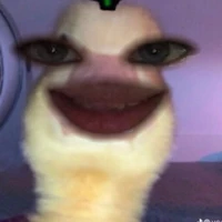 t/g tẽn tẽn