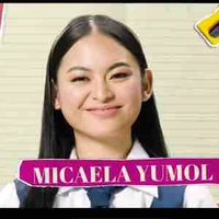 Mica