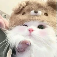 hima