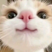 Tác giả não tàn