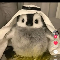 t/g thích móc 🥵