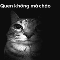 tác giả boy