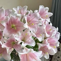 All