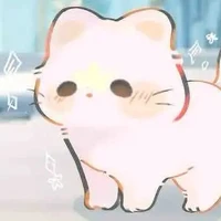 Rivol/ tiểu meo(T/G)
