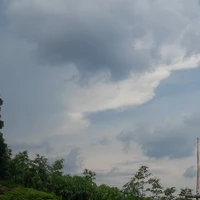 all