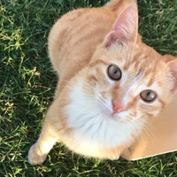 Mon