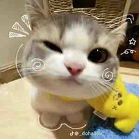 Hệ thống 😺