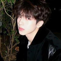 Lục Minh Dương (nam chính)