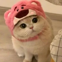 |°bé mèo của hiha°|