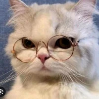 |^t/g linhwieuu^|🦈