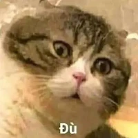 (-ume) hoá đá