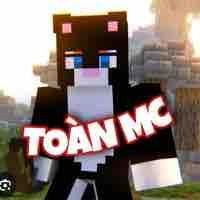 Toànmc