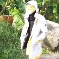 cục băng đi động